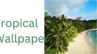 Tropical Wallpaper