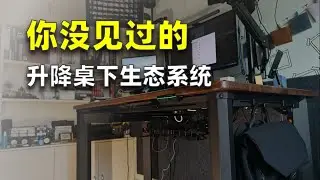 The Ecosystem Under Standing Desk | 你没见过的桌下生态系统
