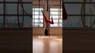 Aerial Hoop Progressions💜