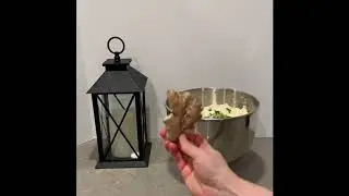 Harry Potter Polyjuice Potion Cake