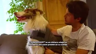 ThunderShirt #MyDogFirst
