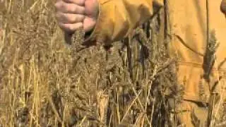 Success Stories, attracting ducks and waterfowl
