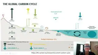 1   Carbon through Earth's History