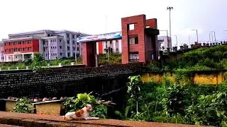 REC Sonbhadra | The college memories of REC Sonbhadra | @ Log Out REC Sonbhadra | Campus Vlog