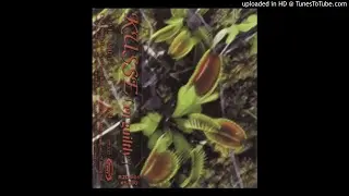KUSSE - 01 En Guilty
