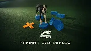 FitPaws FitKinect&trade; - SAVE OVER 30% TODAY!