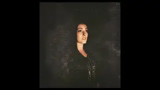 Analogue Portraits