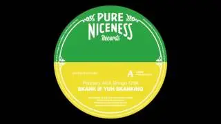 Peppery & Iron Dubz - Skank If Yu Skanking - Pure Niceness Records 7