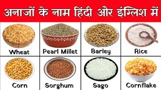 Cereals and grains name in hindi and english | अनाजों के नाम हिंदी और इंग्लिश में | Names of grains