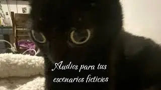 🍁Audios para tus escenarios ficticio🍁