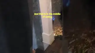 О нет, Браун здесь, когда Ред ещё ужинает.