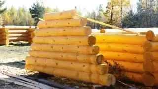 Срубы