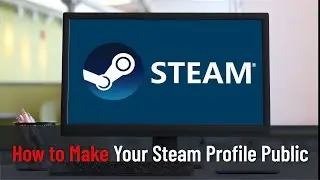 How to Make Your Steam Profile Public (Guide)