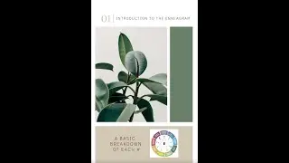 Enneagram course basic