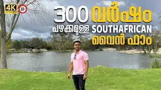 വൈൻ ലവേഴ്സ് മിസ്സ് ചെയ്യരുത് | Spier Vineyard Tour #southafrica