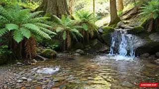 Relaxing with Gentle Stream & Relaxing Nature Sounds for Sleep & Focus Birds singing