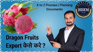 How to Export Dragon Fruits from india | Complete detail process By Sagar Agravat