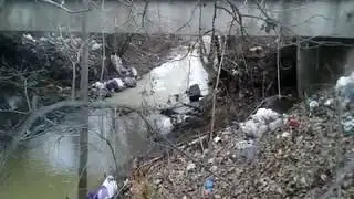 OČAJNI ME&Scaron;TANI SELA OKO RTB BOR: Sve je zatrovano i zagađeno, hrana, reka i vazduh