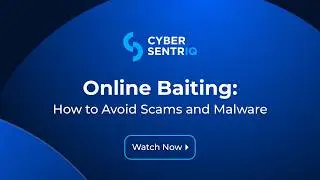 Online Baiting: How to Avoid Scams and Malware