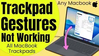 Macbook Trackpad Gestures Not Working Here's the REAL Fix