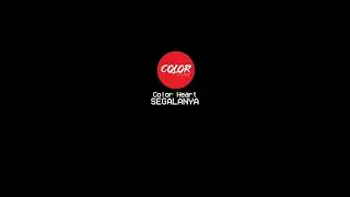 Color Heart - Segalanya Official Lyric Video