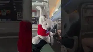Fly From Perth WA To Melbourne Vic by Jetstar air #vizakey #australia #melbourne