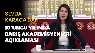 Sevda Karaca: On yıl &ouml;nce susturulmak istenen sadece akademisyenler değil; barış fikrinin kendisiydi