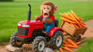 🐒 Monkey Nana Drives Tractor to Harvest Carrots 🥕 | Funny Farm Adventure! 🚜😱