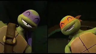 Turtle stories.2