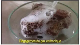 Identification de quelques esp&egrave;ces chimiques: Action du HCl sur une roche contenant du calcaire.