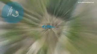 SHITET TOKE TRUALL ZONA E NSHUs ELBASAN