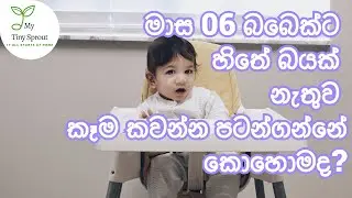 මාස 06 බබෙක්ට හිතේ බයක් නැතුව කෑම කවන්න පටන්ගන්නේ කොහොමද? Baby's First Solid Food Experience