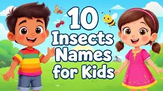 10 Insects Names for Kids | Learn Ant, Butterfly, Ladybug & More | Fun Kids Learning Video