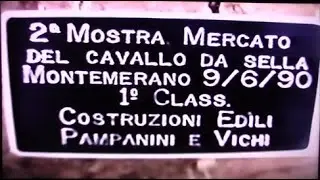 Montemerano - II^ Mostra Mercato del Cavallo da Sella (1990)