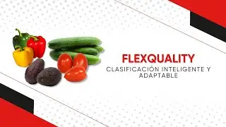 FLEXQUALITY | HOW ARTIFICIAL INTELLIGENCE SORTING WORKS | FERBA POSTHARVEST TECHNOLOGY