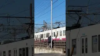 A man clicking photo of train in Japan #youtube #shorts #japan