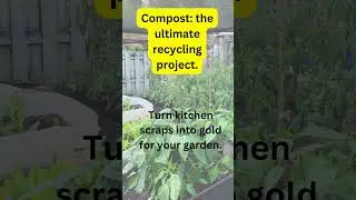 Epic Beginner Gardening Facts! Compost A Recycling Project #garden #gardening #compost #recycling