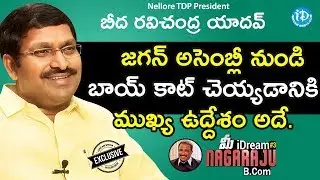 Nellore TDP President Beeda Ravichandra Yadav Interview || మీ iDream Nagaraju B.Com #154