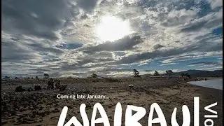 Ward Beach, Marlborough, New Zealand