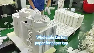 Wholesale raw materials for paper cups