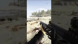 Найкращий приціл року, нічого не видно але вбивати можна