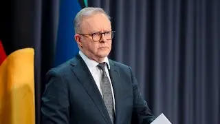 &lsquo;He&rsquo;s declared all of his upgrades&rsquo;: Labor MP defends Albanese amid Qantas scandal