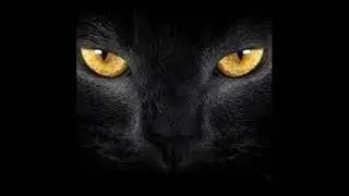 Heal The World John Fernandes Mix 2
