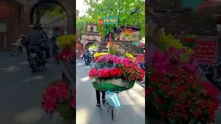 🇻🇳 Vietnam: A Mesmerizing Journey of Contrasts and Beauty ✨