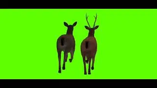 Green screen DEER 🦌 no copyright @SuleshwarRam-vf6jx