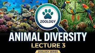 Zoology | Animal Diversity Lecture - 3 | Phylum Cnidaria | Polyp vs. Medusa | Structure, Life Cycles