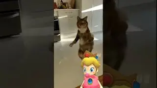 Baby Peach Reaction Part 2