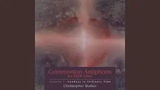 Twenty-Fifth Sunday in Ordinary Time (Alternative Antiphon)