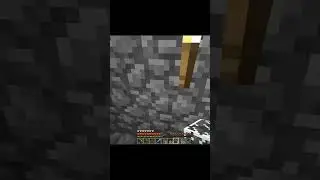 Did you see him?😥 |#null #minecraft
