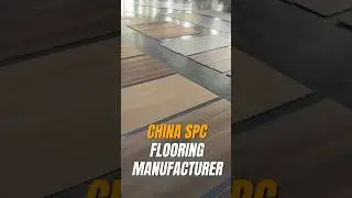 Finding a reliable SPC supplier in Europe is hard.
